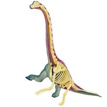 Hayvan Anatomisi Puzzle  Brachiosaurus